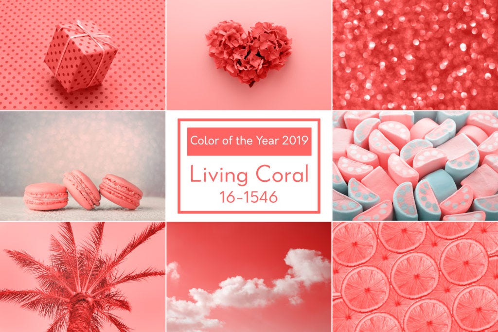 Living Coral - LOLAhome